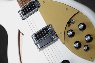 Limited 360 Snowglo Gold Pickguard2.jpg